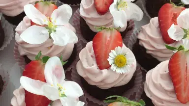 Frische Schokocupcakes mit Erdbeerfrosting und frischen Erdbeeren